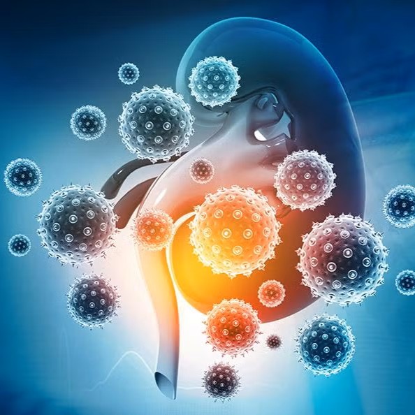 Acute Kidney Injury