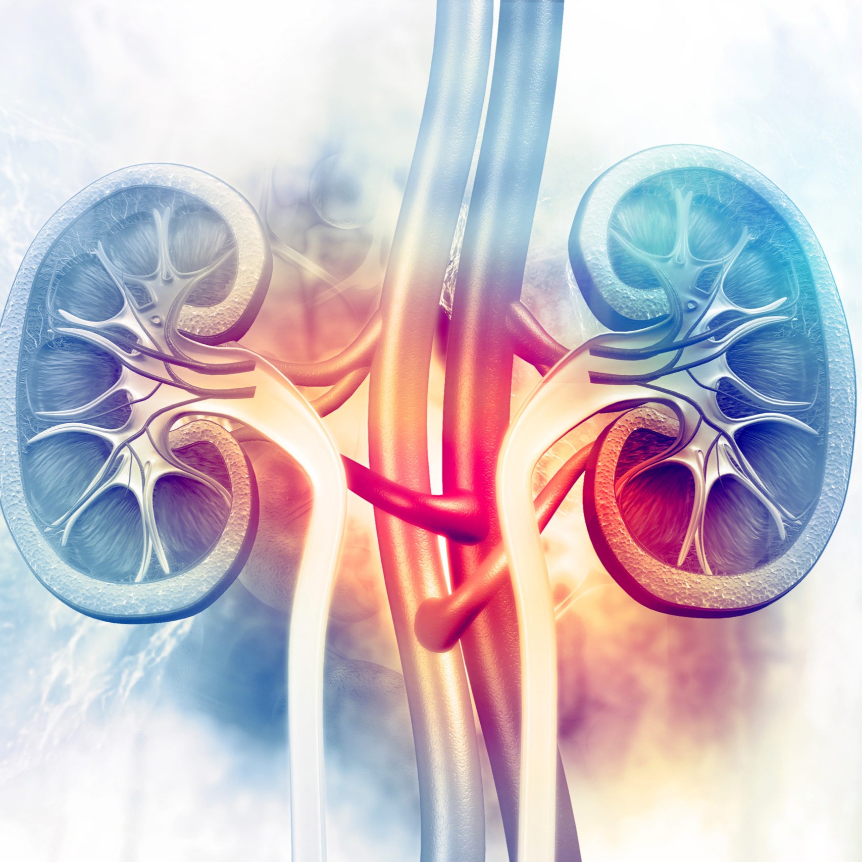 critical care nephrology