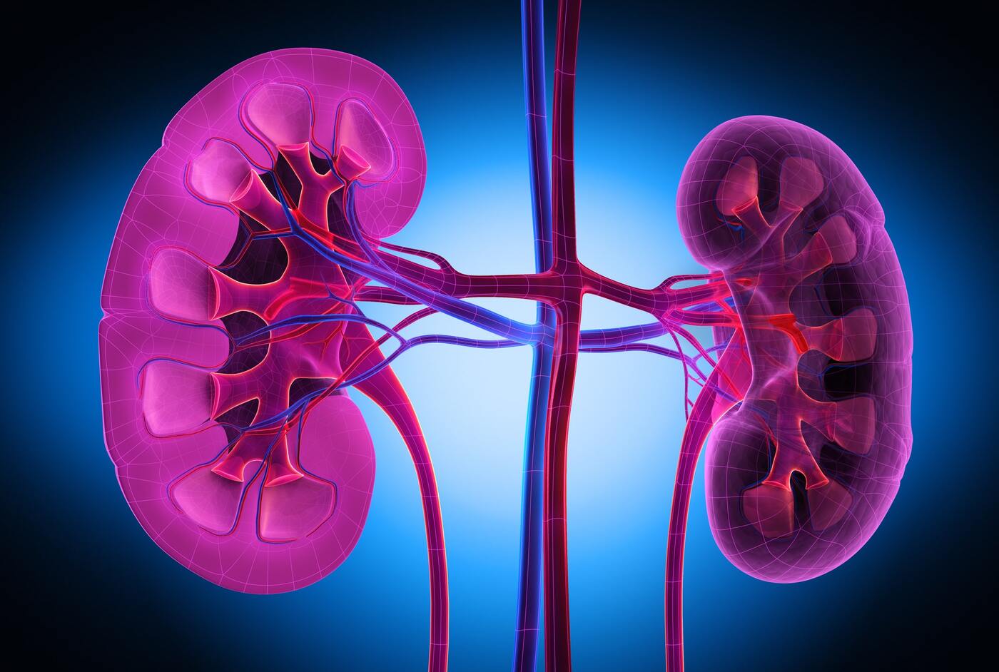 Diabetic Kidney Disease Treatment in Noida