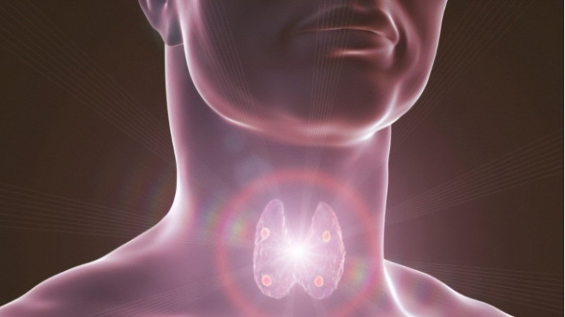 Parathyroid Disorders CKD Treatment in Noida